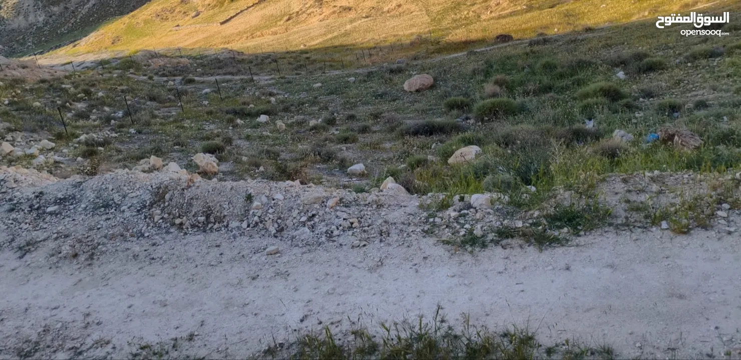 نص دنم أرض للبيع مباشرة من المالك بدون أي وسطاء تصنيف B مسموح البناء في أي وقت بدون قيود أو شروط