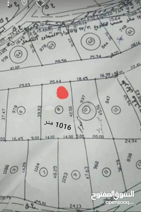 ارض للبيع بمدبنة نابلس/منطقة نابلس الجديدة