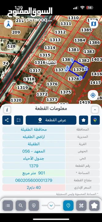 قطعة ارض سكني للبيع في الطفيلة - العيص