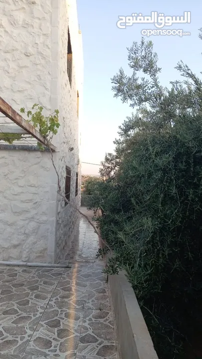 منزل طابقين في منقطة شعنب زبود   للبيع