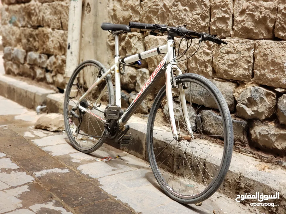 دراجة هوائية هجين وارد اوربي