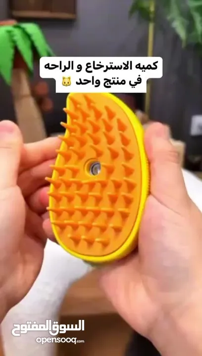 فرشاة البخار للقطط