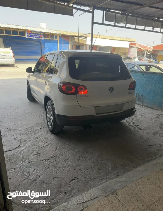 جب تكوان 2010 فحص نخب اول