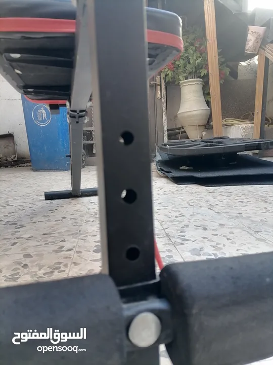 بنش رياضي جميع الزوايا بنش بنش بنش بنش بنش بنش