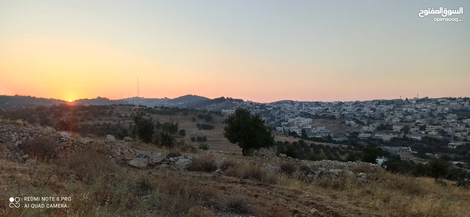 ارض للبيع مساحه 10 دونمات في عجلون /صخره