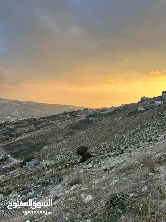 فرصة ذهبية لامتلاك أرض في أم الدنانير! أرض مميزة للبيع – استثمار ذكي أو سكن هادئ