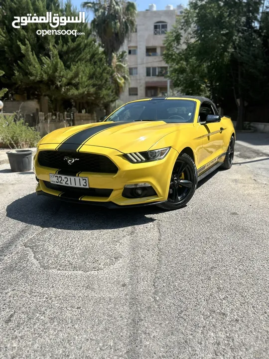 Ford mustang V6