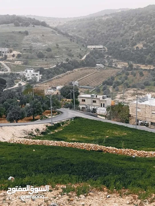 بيت العز والكرم