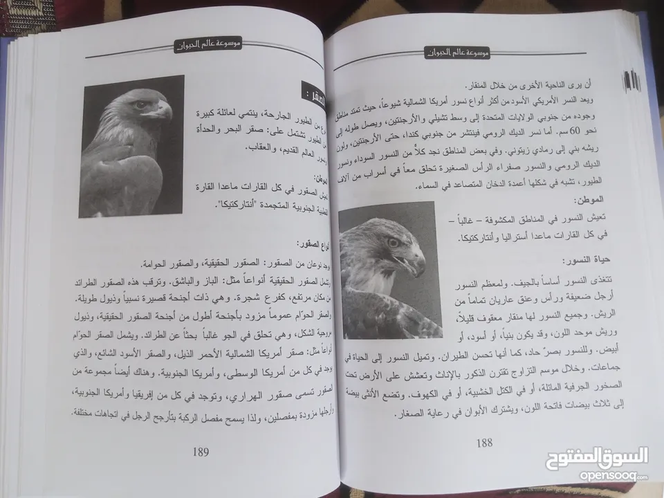 250 نسخه من كتاب عالم الحيوان بسعر حرق