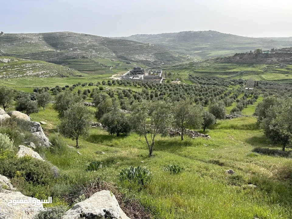 قطعة ارض للبيع في ناعور