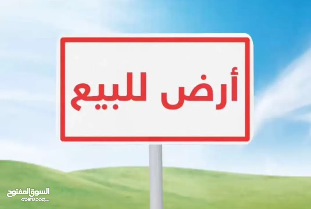 صهيب نابلس
