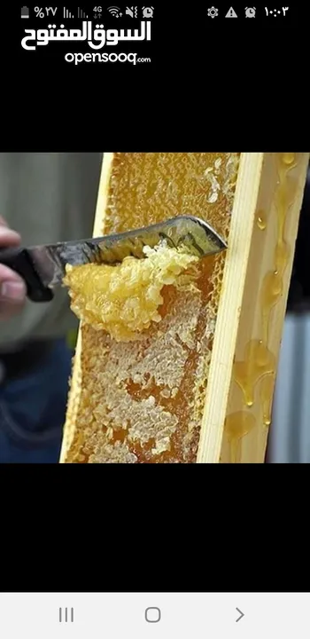 عسل طبيعي يستعمل للشفاء والعلاج من مناحل الجبل الاخضر