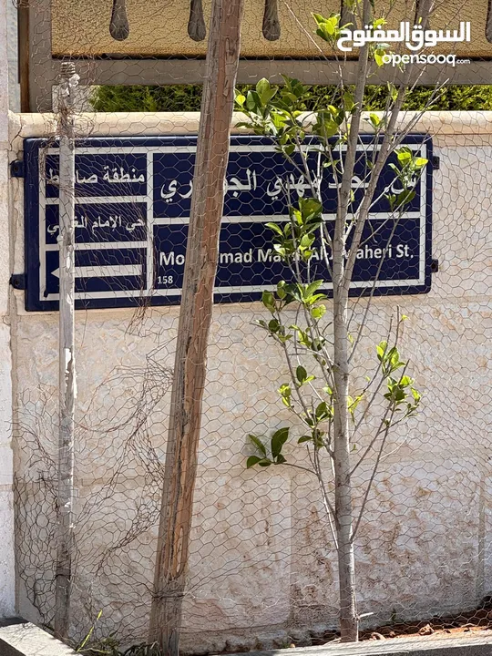 ارض بصافوط دونم و 62 متر - حي الإمام الغزالي - شارع مهدي محمد الجواهري