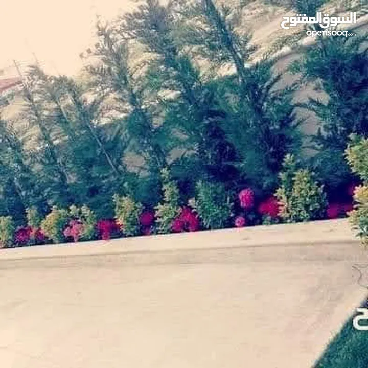 تنسيق الحدائق  نجيل بناء شلال نافورة باربكيو