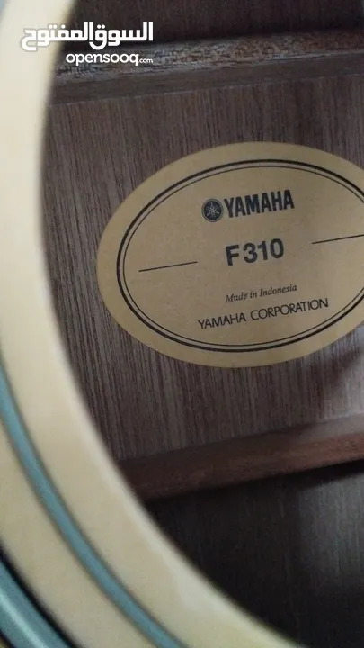 Yamaha F310