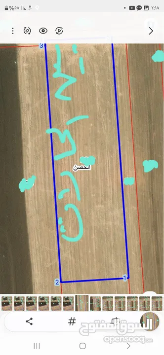 حوض 24 بين الحارات الحصن مساحة القطعه 12496 م2 شماليه شارع 12م واجهة 62 م قرب المزارع والخدمات  والا