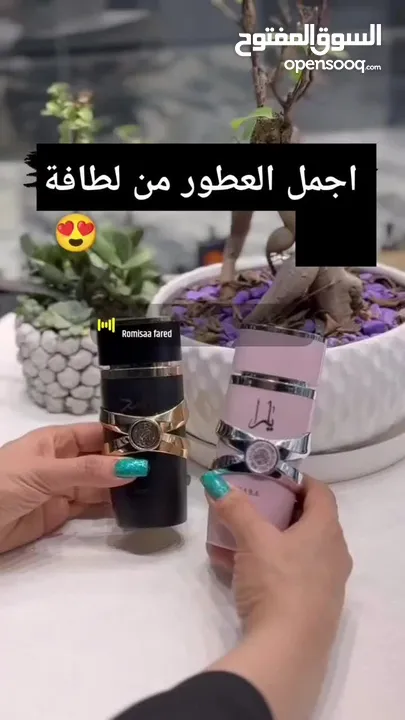 عطور من شركة لطافه وارض الزعفران ورصاصي عطور امارتيه ستاتي رجالي اجودهم تددوم طويلا ارقه العطور