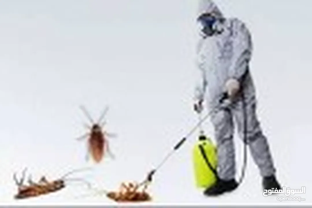 افضل شركة مكافحة الحشرات اباده تامه للحشرات من اول زياره