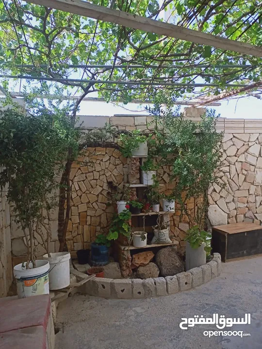 عماره للبيع بسعر مغري