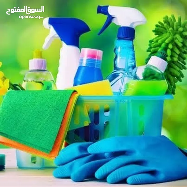 Cleaning services in Riyadh