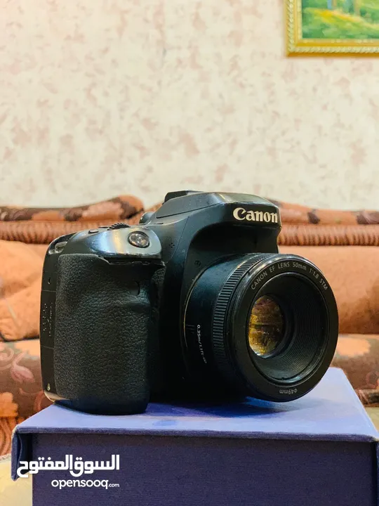 Sony+Canon80D