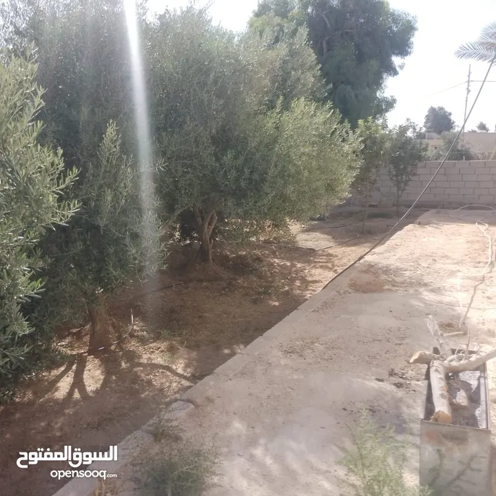 منزل للبيع قصر حلابات غربي قرب مصانع طيبه
