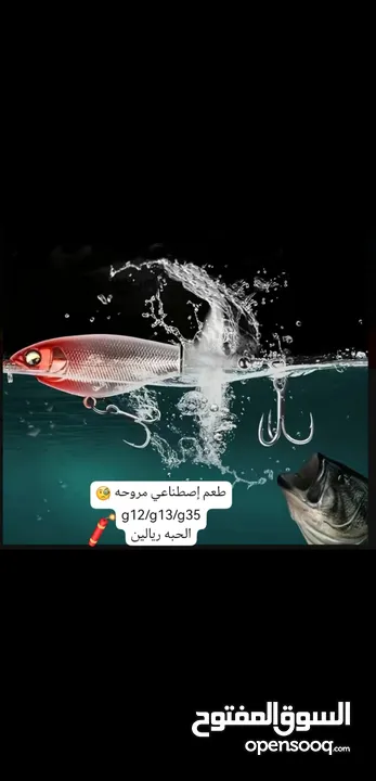 بيع معدات و أدوات صيد الأسماك. Sale of fishing equipment and tools