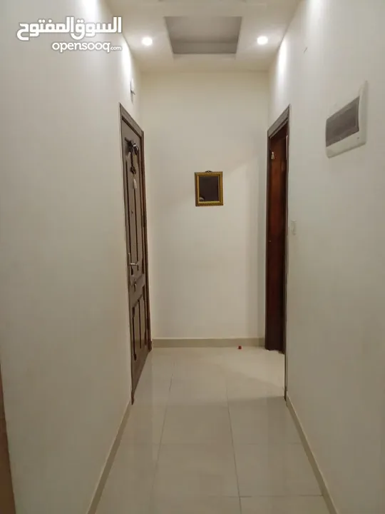 شفه فاخره مفروشه في العقبه للبيع