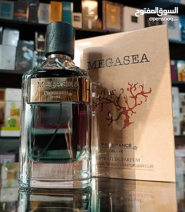 Megasea Perfume by Fragrance