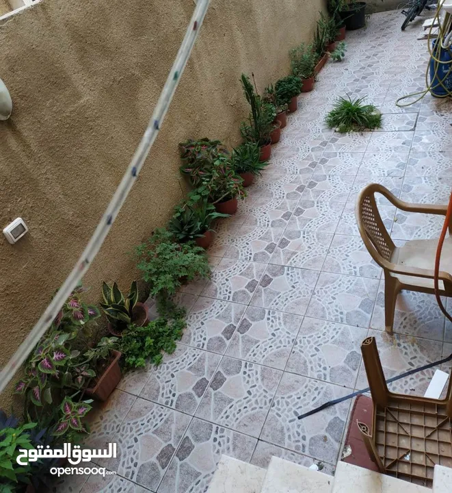 شقة طابق ارضي مدخل مستقل مع ساحات
