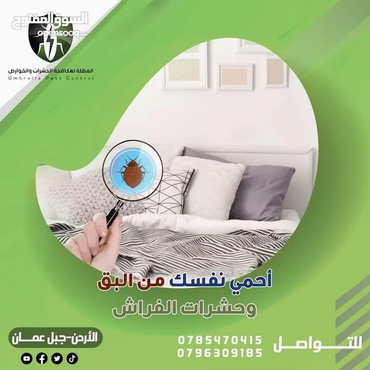 مكافحة الحشرات وبق الفراش و الصراصير والنمل وعثة الغبار والبراغيث والفئران بكفالة حقيقية في الاردن