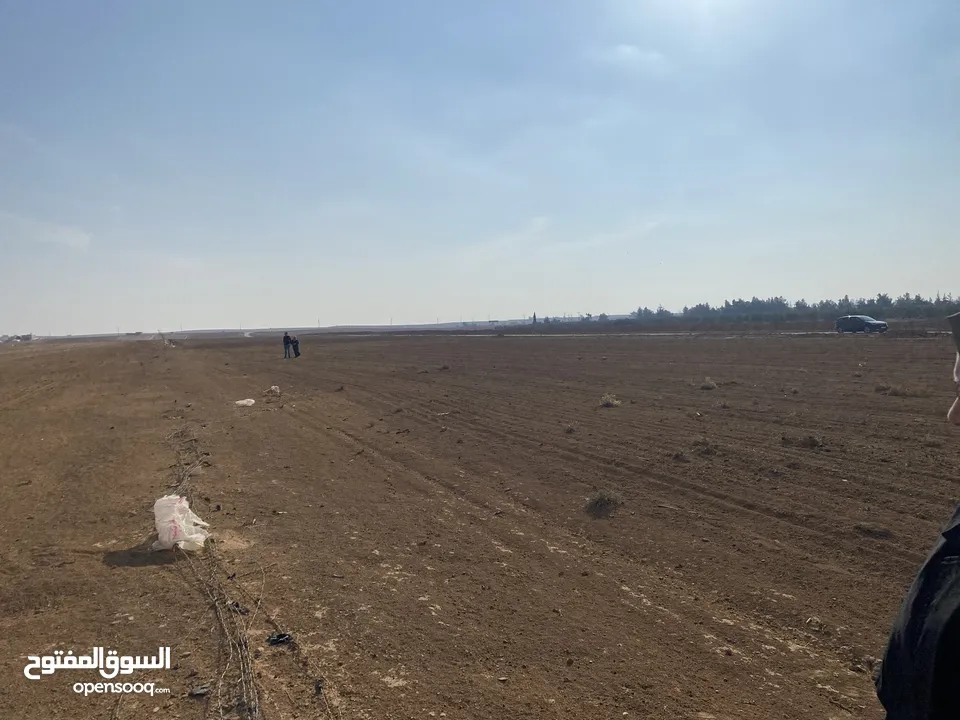 سعرر مغررري  قطعة ارض في منطقة ضبعه قرية بريك الموارس الشرقي 3.400 دنوم تابعه لاراضي جنوب عمان