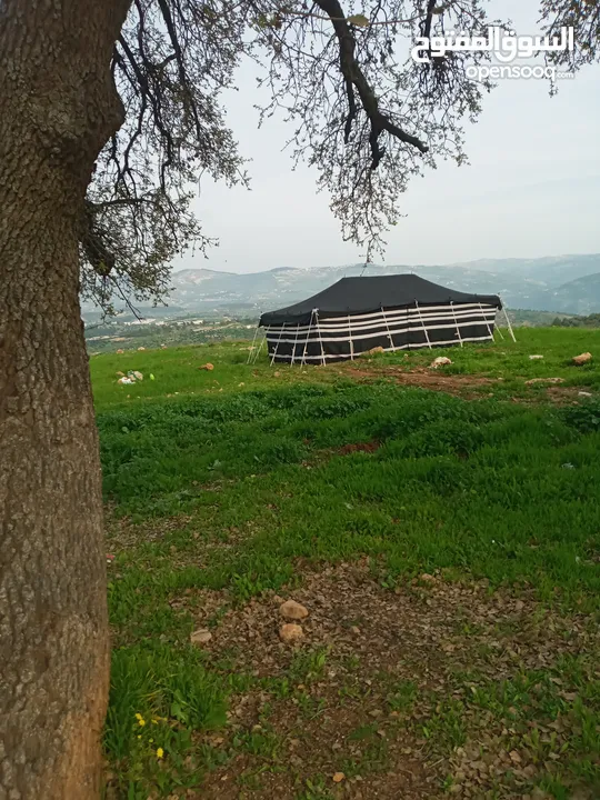 خيم شعر تراثيه