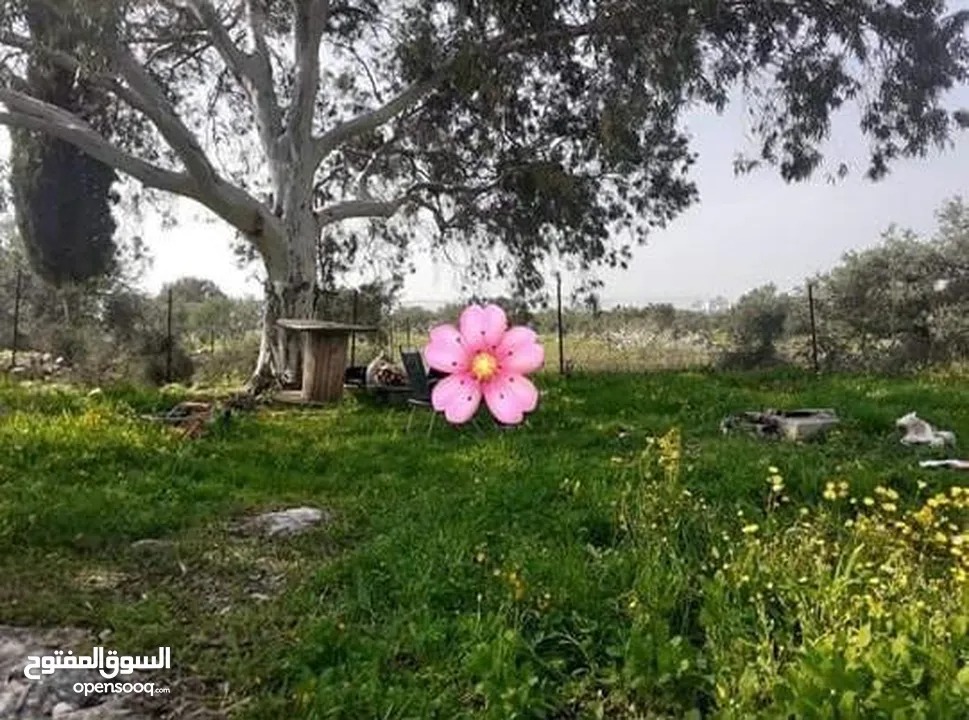 قطعة أرض نص دونم نار موقع قريب من المدينة مطلة على شارع فرعون واصلها جميع الخدمات (ليست فرعون البلد)