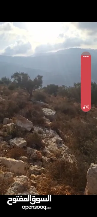 ارض للبيع في كفر نعمه مساحه دونم ونصف للبيناء