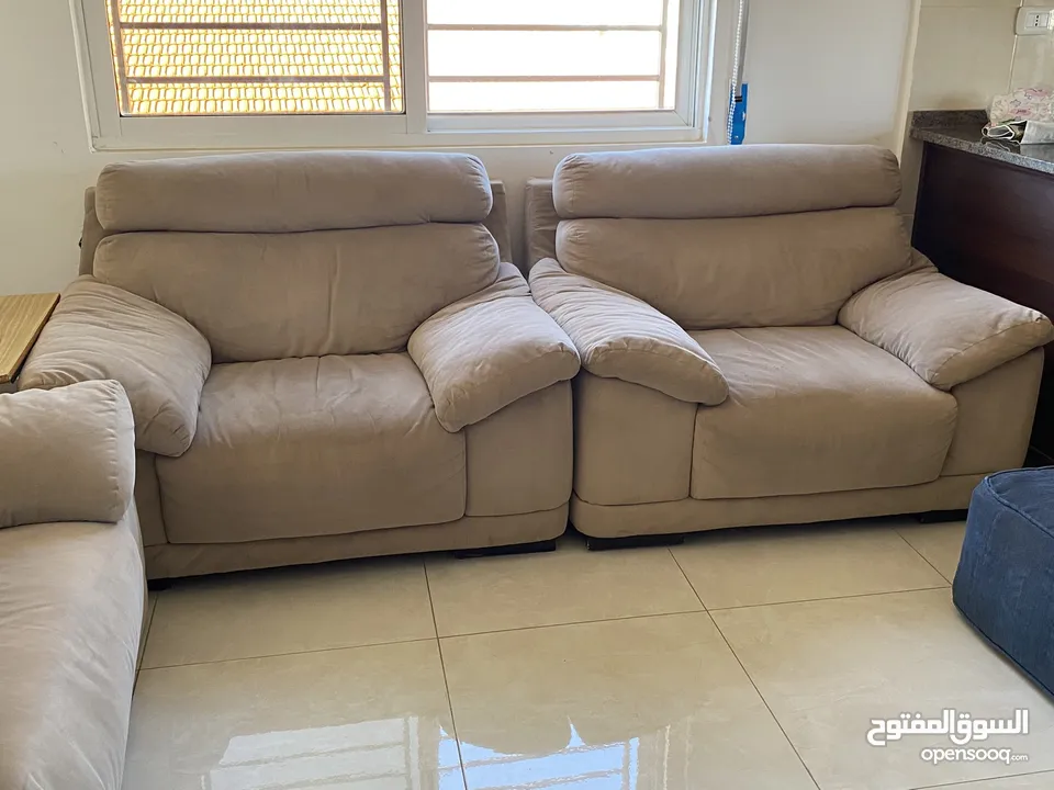 كنب دب امريكي للبيع