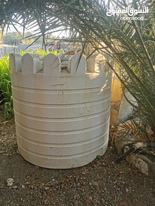 خزان ماء للبيع : الحديقة - نباتات : الظاهرة عبري (234211412)