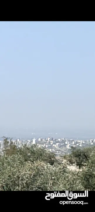 قطعة ارض مطلة عالساحل