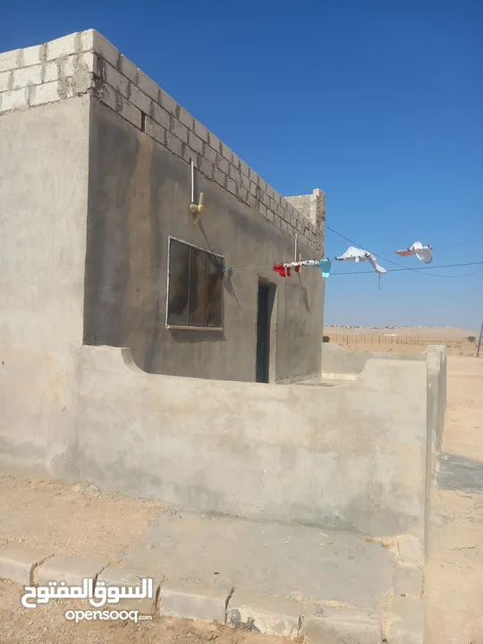 بيت للبيع البويضه