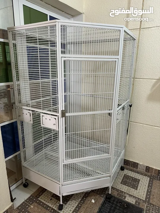 parrot cage for sale
