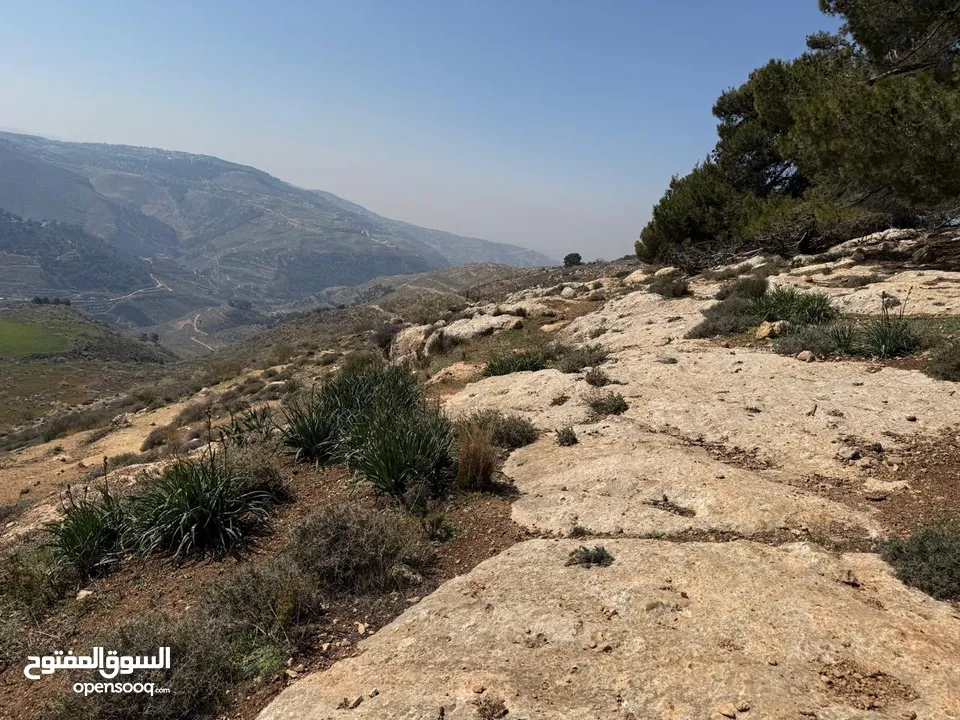 قطعة أرض مميزة و مطلة للبيع – مرج الحمام, ألبحاث
