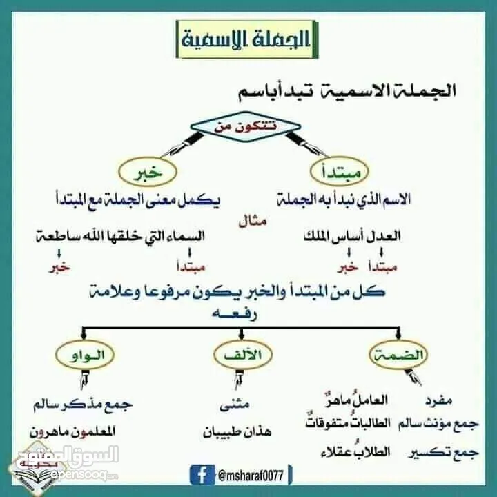 معلم لغة عربية و معلم لجميع المواد