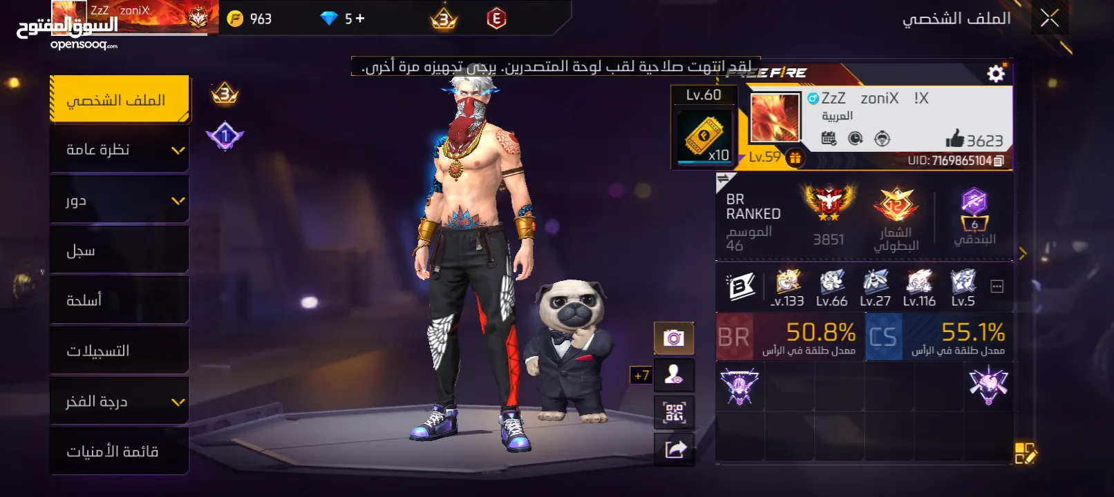 حساب جيد لشخص يريد الإستمتاع باللعب