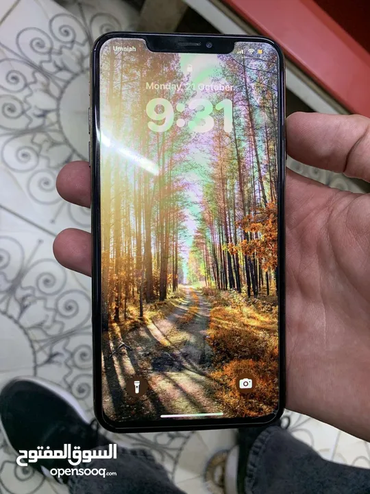 Xs max 64GB