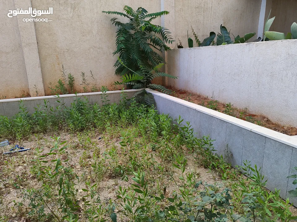 شقة مفروشة مع حديقة للايجار في عين منجد