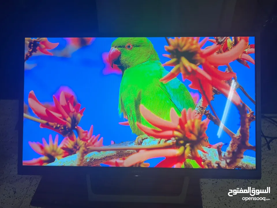شاشة 50 بوصة ميلار سمارت حديث