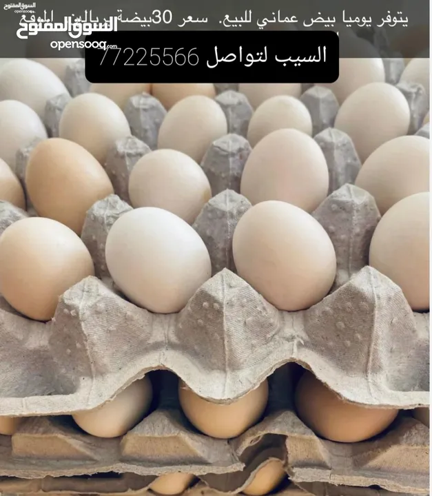 بيض عماني للبيع السله ريالين الموقع السيب