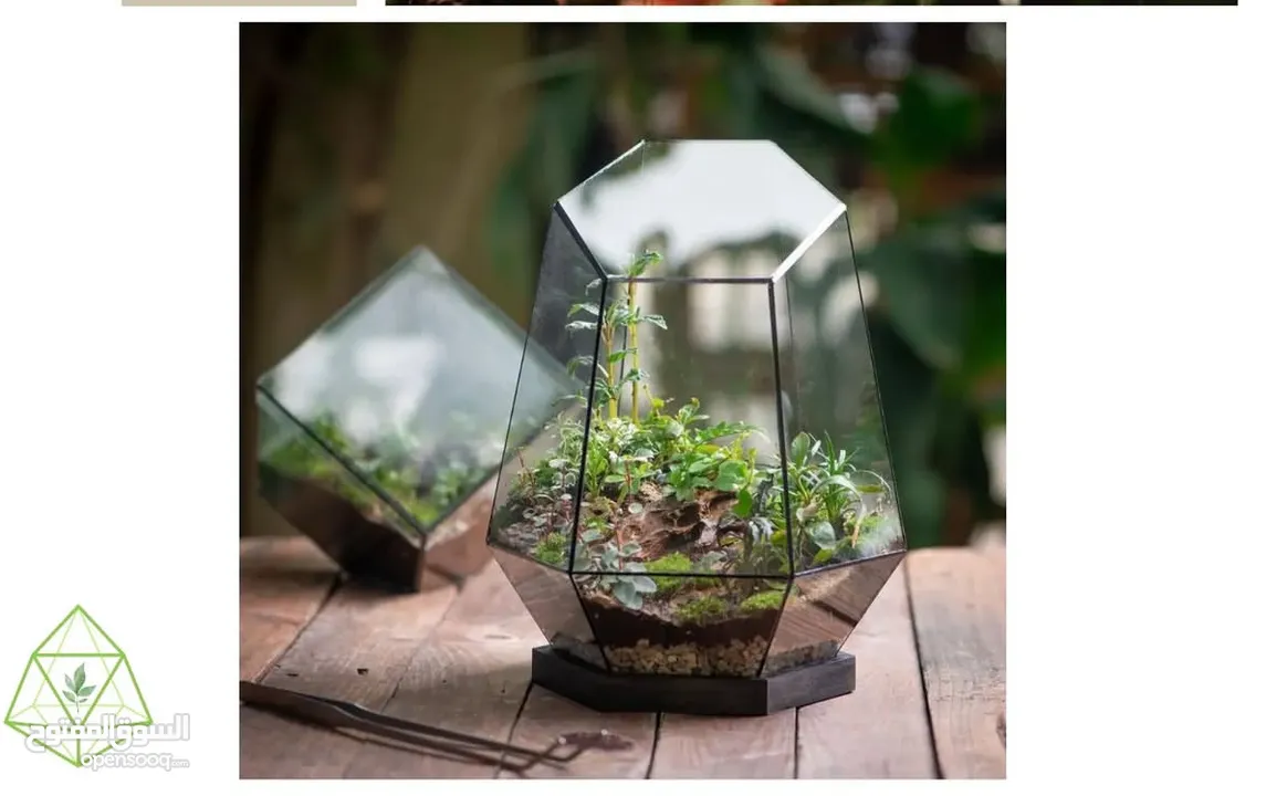 Moss walls for houses and office + Gallery 1 art work