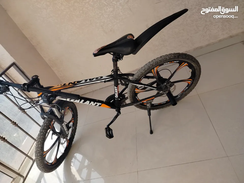 2024GALANIT