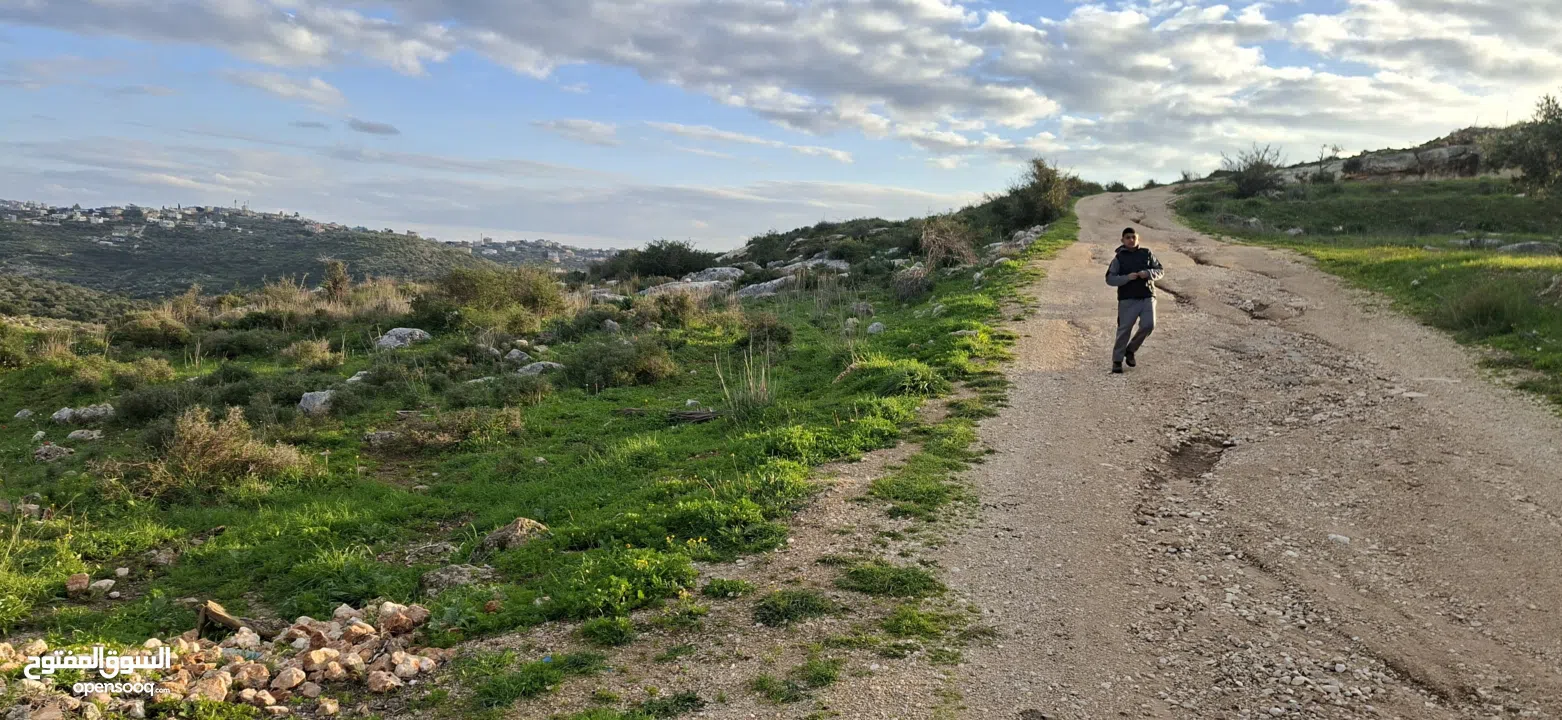 دونم ارض طابوا فلسطيني منطقة (B)بالقرب من دوار كفرصور جميع الخدمات فيها عليها شارع 12متر موقع مميز